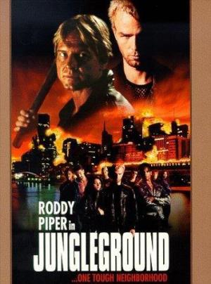 Fuego en las Calles (1995) poster